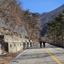 진부령미술관 이미지