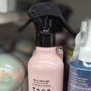 카멜리아 이미지