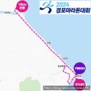 경포파인 이미지