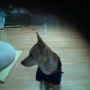 이화자연약국 이미지