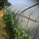 지금 장수농장 이미지