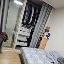 분당-204 이미지