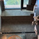 한스친친 이미지