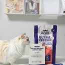 브이알 플러스 | 내추럴발란스 고양이사료 바꿨더니 반응이 ... 기호성 좋은 울트라 프로틴 플러스 추천