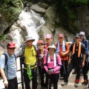 구룡식당 이미지