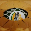 아어가지 이미지