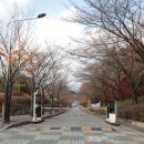 대구농업마이스터고 입구 옆 이미지