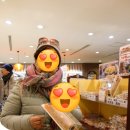 보스카스테라 이미지