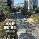 역사코스 Daum카페