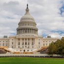 미포인트 의원 이미지