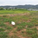 큐리농장 이미지