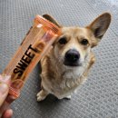 라이코스펫 | 뉴트리오 강아지 고구마간식 국내산이라 더 좋아