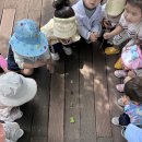 알곡어린이집 이미지