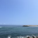 참새둥지야영장 이미지