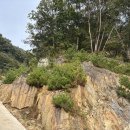 공주산속펜션 이미지