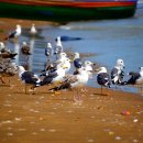 백운리 백운경로당 이미지