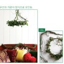 열매종합장식