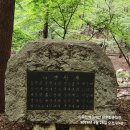 ＜아산 영인산＞- 철쭉 명산 영인산 상투봉 수목원 철쭉 동산을 찾아서 STORY - 01, 이미지