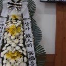 마곡꽃과나무 네이버블로그