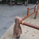 희영유치원 이미지
