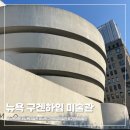 뉴욕 구겐하임 미술관 입장료 할인 꿀팁 Pay what you wish 티켓 관람 후기