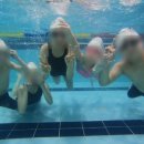 마린 스포츠센터 이미지