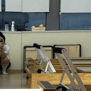 영우한의원 | 말차프라푸티라노사우르스