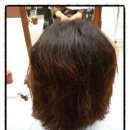 한스헤어 이미지