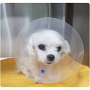 해와달동물병원 이미지