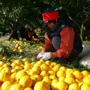 고흥한의원 이미지