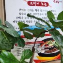 김명희 우렁쌈밥우렁추어탕 이미지