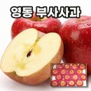 제이피지 이미지