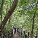 원주 구룡사 삼장보살도 | 치악산 구룡사. 세렴폭포(2024.08.24)