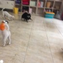 개린이 하우스 이미지