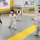 경희대사랑인태권도 이미지