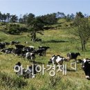 지리산자연농원
