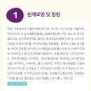 뉴오리진 a2 분유 1단계 후기 (140일 째 먹이는 중)