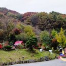 오름카페 | 충주 카페 :) 직동 오름카페 내돈내산 솔직후기/아이와 가기 좋은 카페 추천