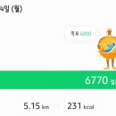 33카페 - 영등포구 은행로 29 | 33카페