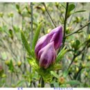 당당한 삶 이미지