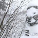 제주온인 이미지