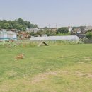(주)코이 이미지