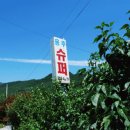 148.소요수퍼_1 Daum카페