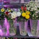 한아름 꽃 이미지