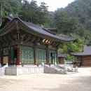 초은고 사거리(초은고) 이미지