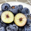 5월29일.햇완두콩,허니듀메론,생블루베리,못난이성주참외,벌꿀집,해남고구마(꿀.호박),두리안,대저토마토,수박 이미지