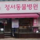 정서동물병원 이미지