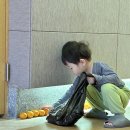 요기앤김밥 | 제주 애월 가족여행 독채 펜션 추천 스탠포드호텔앤리조트 제주 가성비 대만족 내돈내산