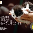 네츄럴트리트 이미지