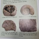 몰드와캐스트 이미지
